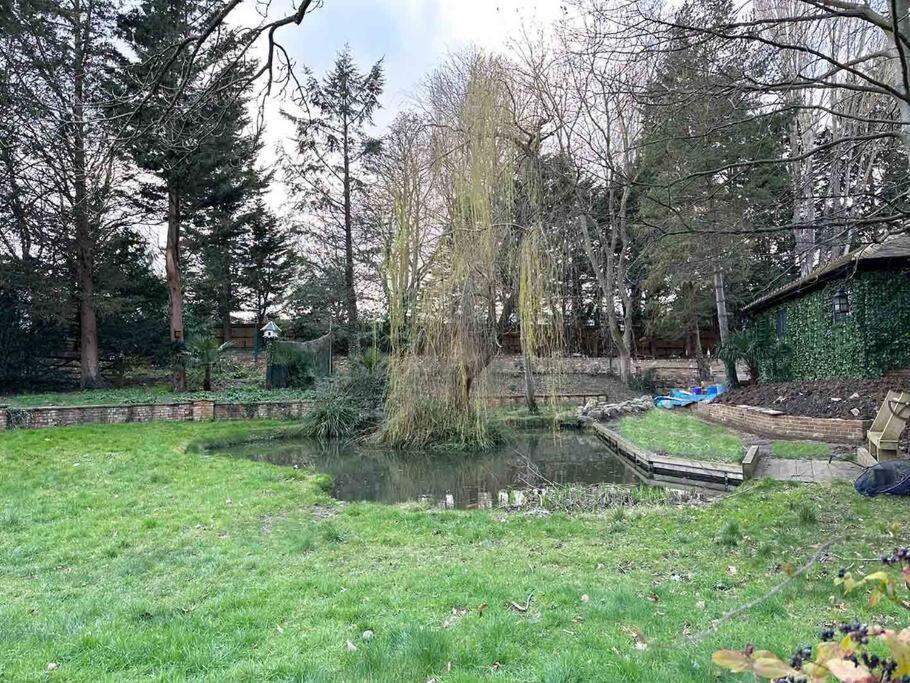 Forest Studio Apartment Gated Parking On 2 Acres Garden Чизлхерст Экстерьер фото